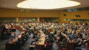 Press Release: UN Tax Convention Negotiations Begin - Global Tax Justice