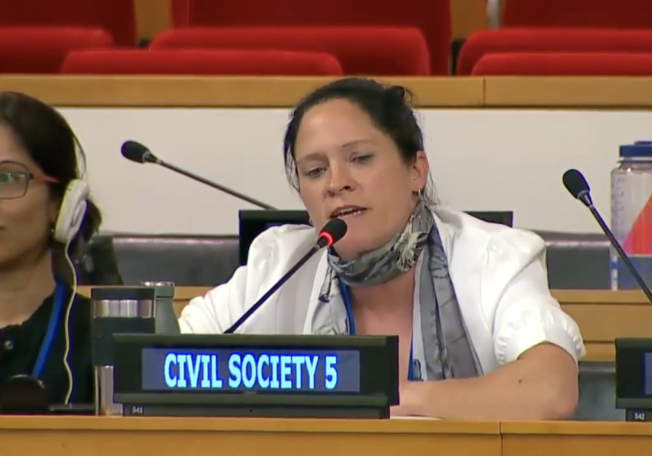 UN Tax Convention Interventions: Commitments