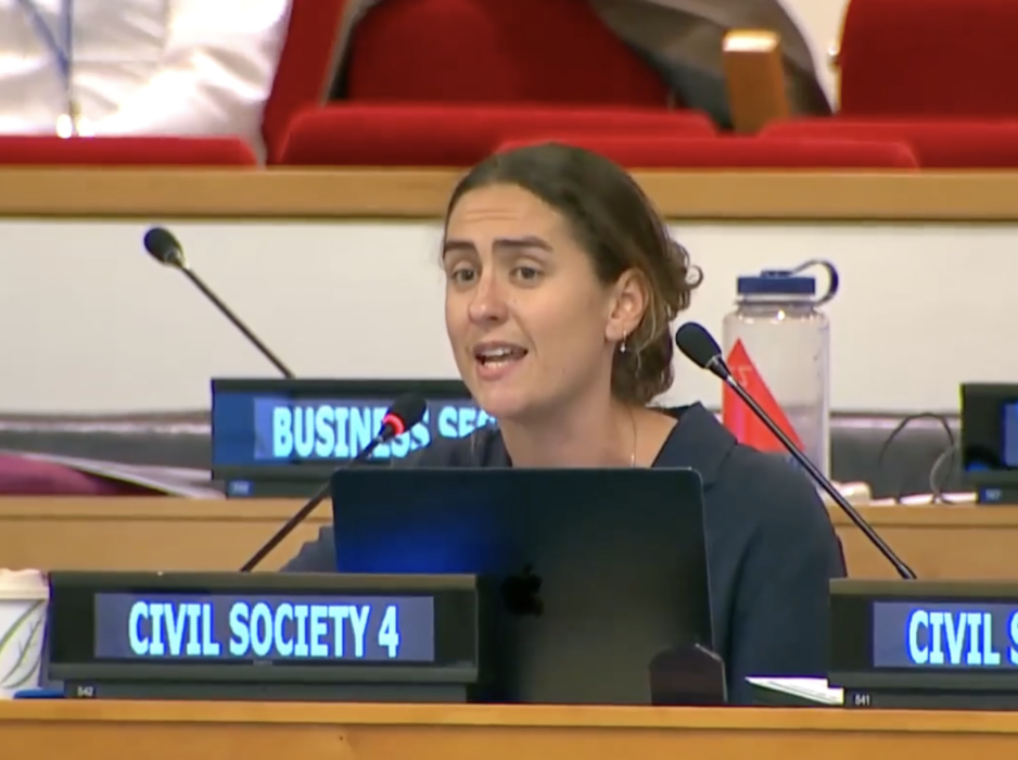 UN Tax Convention Interventions: Human Rights