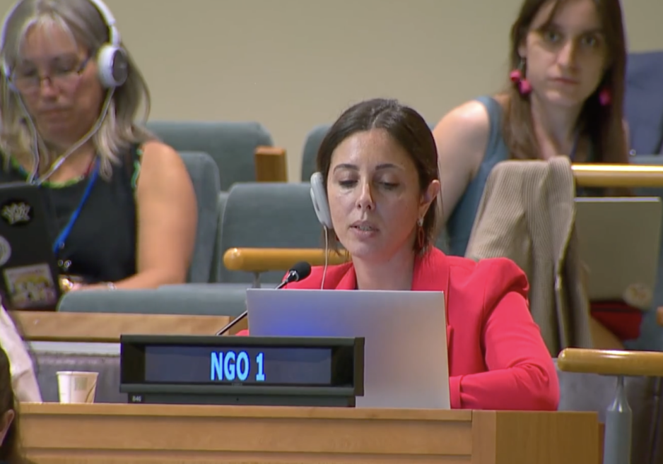 UN Tax Convention Interventions: Human Rights