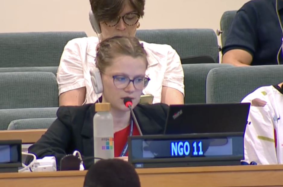 UN Tax Convention Interventions: Polluter Pays