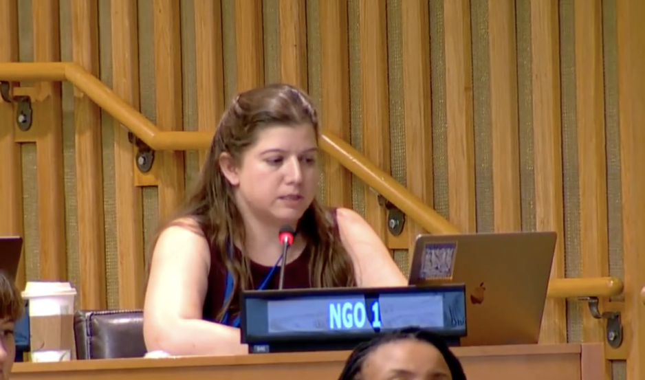 UN Tax Convention Interventions: Disputes