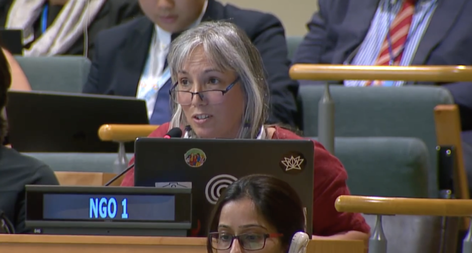 UN Tax Convention Interventions: Fair Allocation
