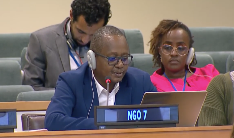 UN Tax Convention Interventions: Environment
