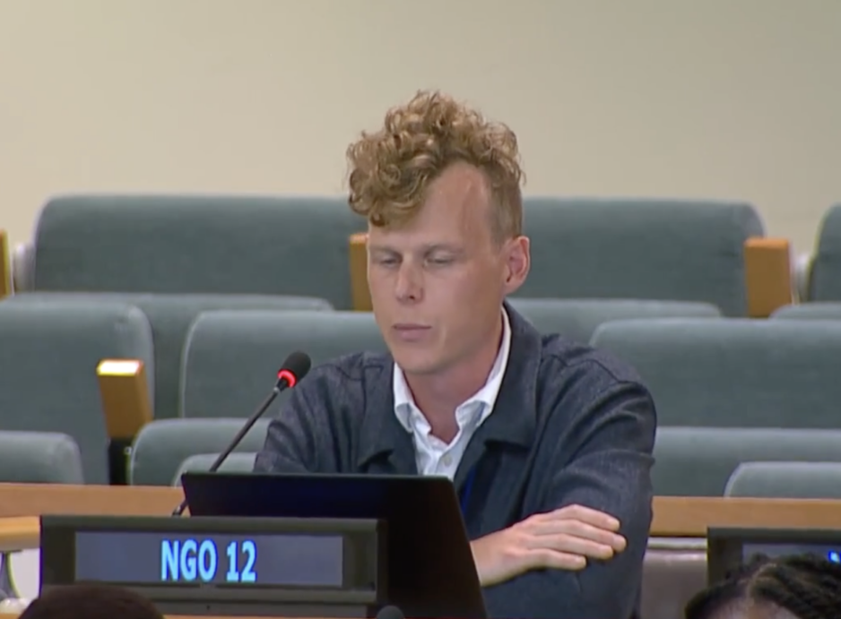 UN Tax Convention Interventions: Predictability