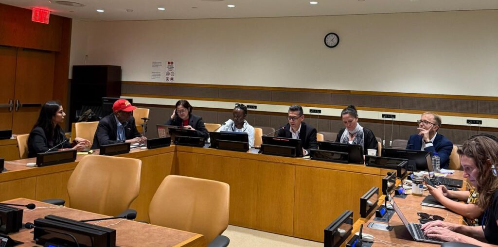 Stocktaking the UN Tax Convention Negotiations