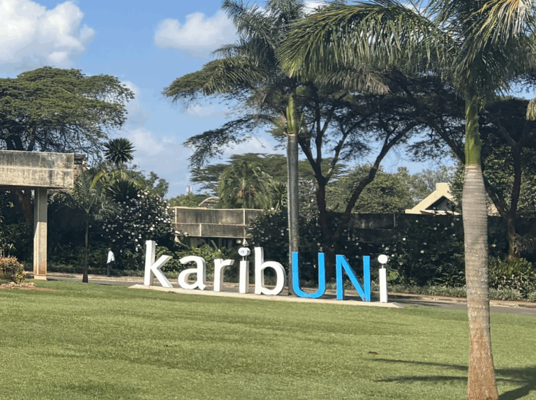 Civil Society and Trade Unions Response to Co-Lead’s Draft Framework Convention Template