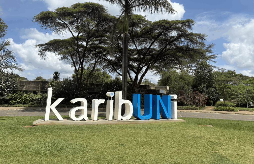 Where Does the Nairobi Session of the UN Tax Convention Negotiations Take Us?