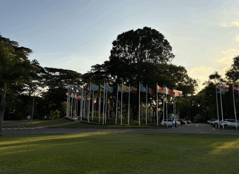 Catalogue of Proposals for Articles for the New UN Framework Convention on International Tax Cooperation