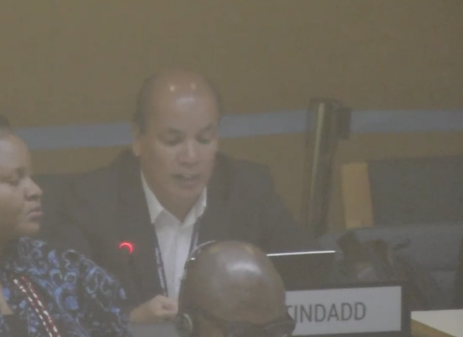 Protocol 2, UN Tax Convention Interventions: Arbitration