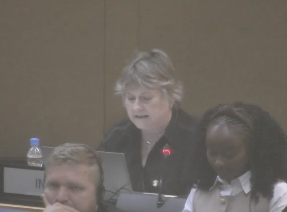UN Tax Convention Interventions: HNWI
