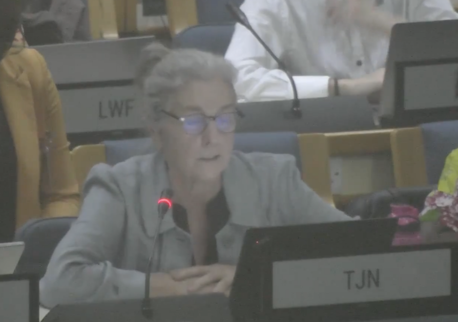 UN Tax Convention Interventions: Mutual Administrative Assistance