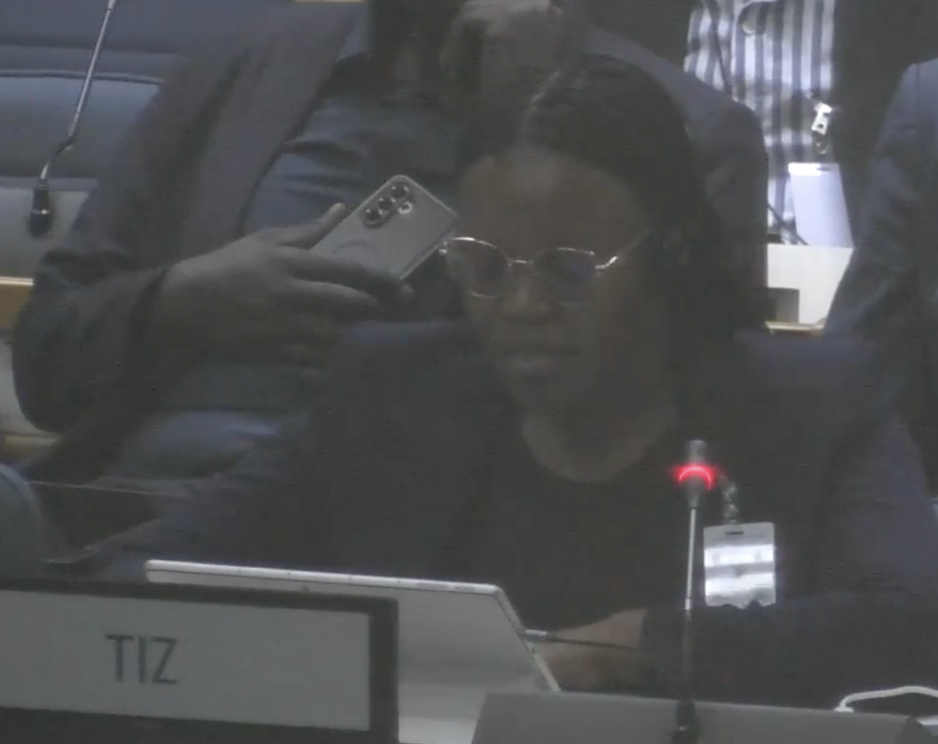 UN Tax Convention Interventions: IFFs