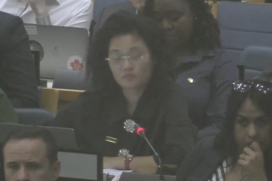 UN Tax Convention Interventions: Sustainable Development