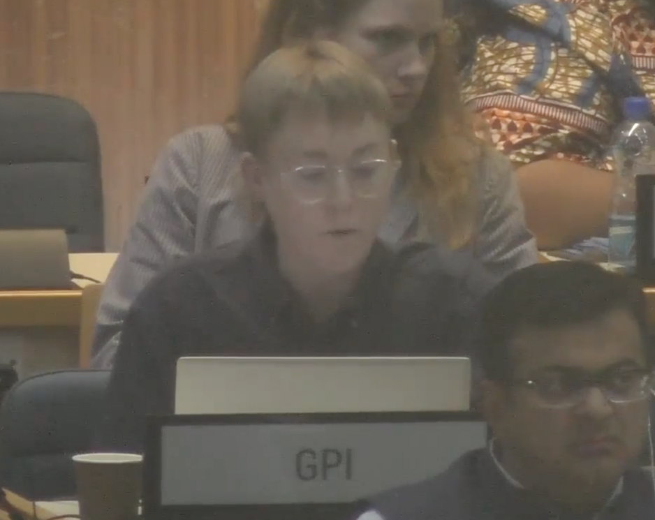 UN Tax Convention Interventions: Climate
