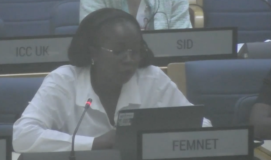 UN Tax Convention Interventions: Dispute Prevention