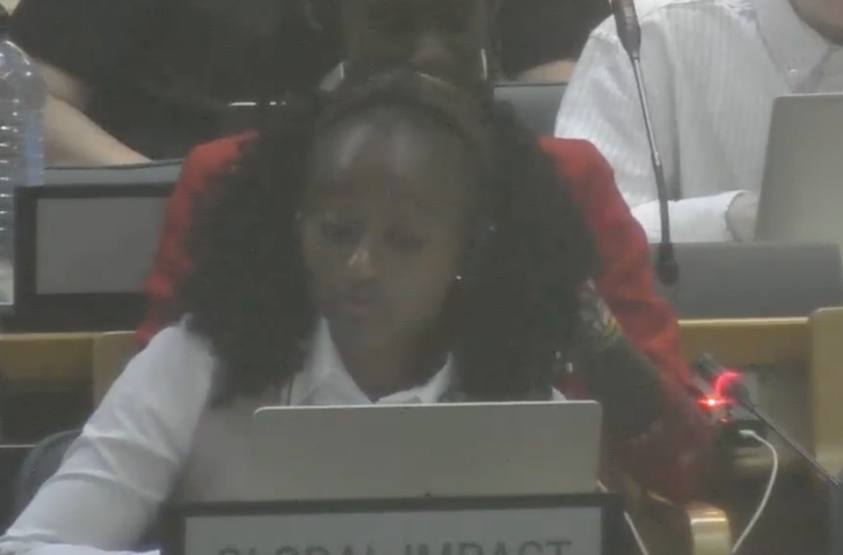 UN Tax Convention Interventions: Mutual Administrative Assistance