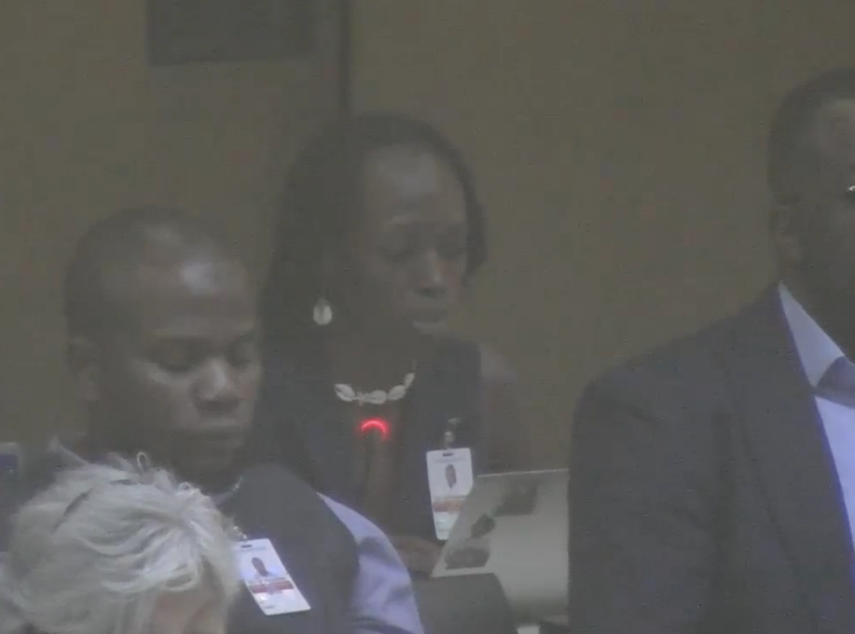 UN Tax Convention Interventions: HNWI