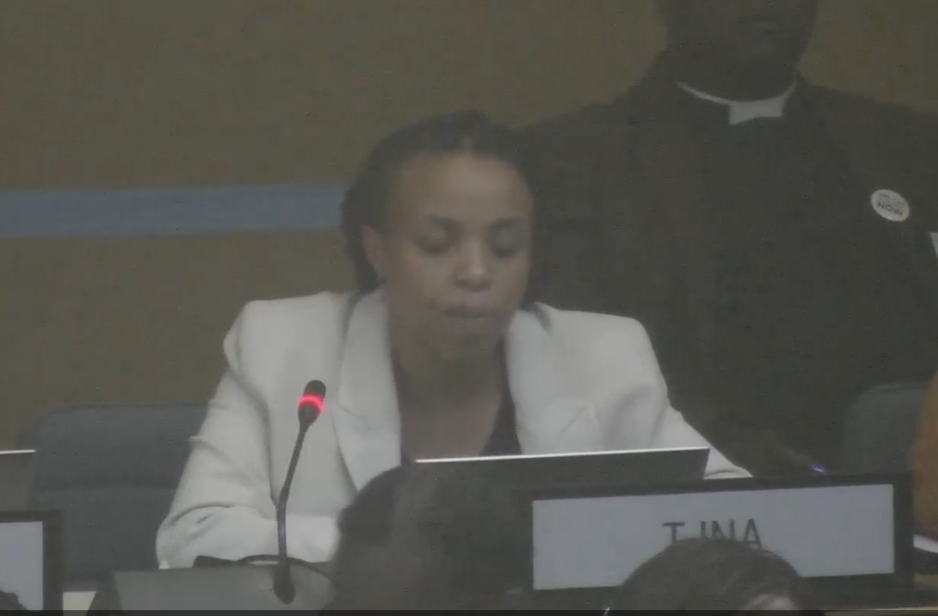 UN Tax Convention Interventions: Unitary Tax