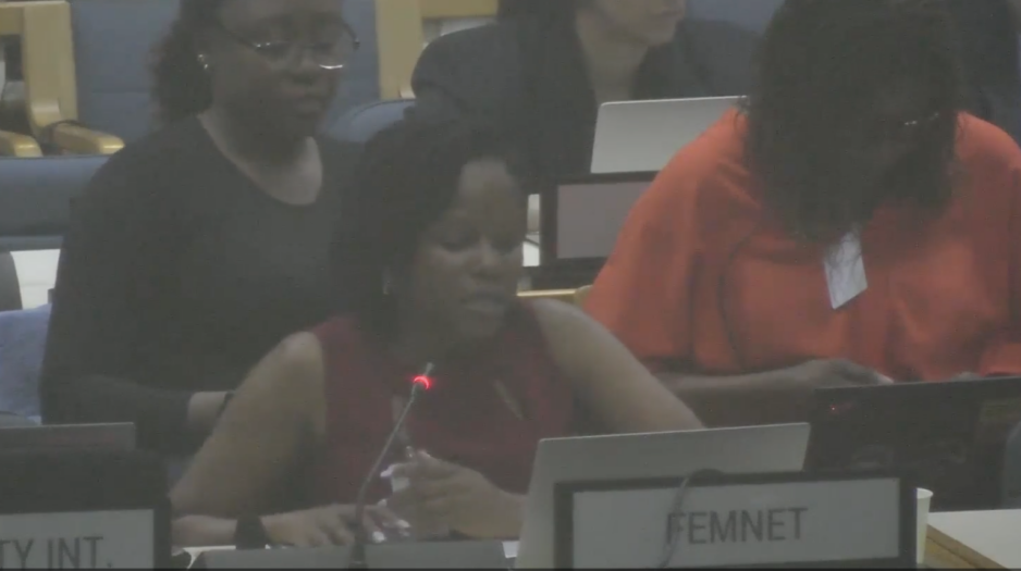 UN Tax Convention Interventions: Mutual Administrative Assistance