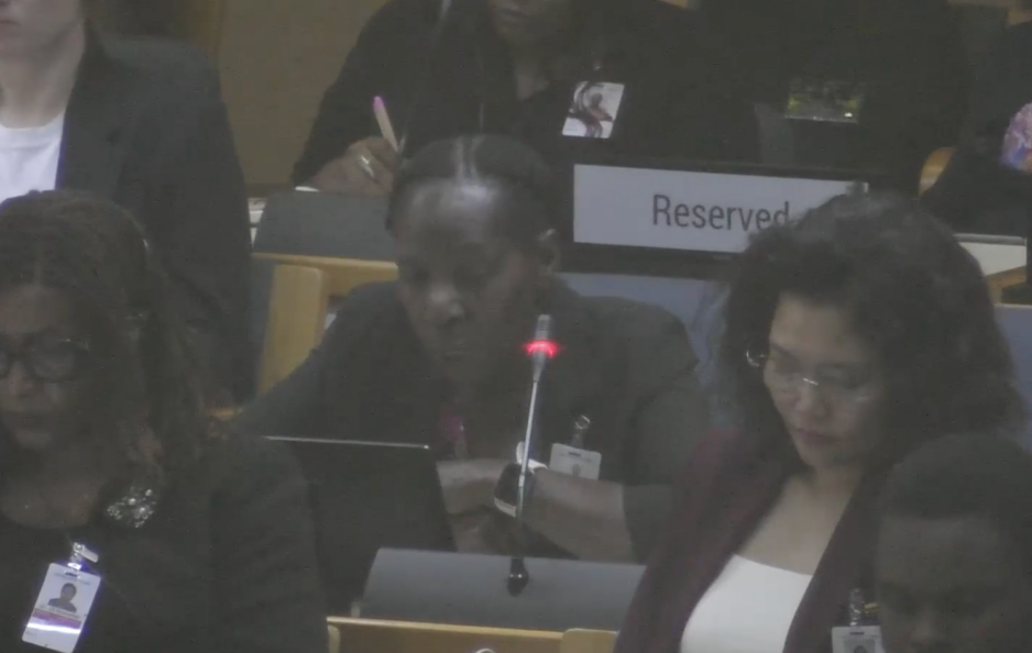 UN Tax Convention Interventions: Negotiations in Africa