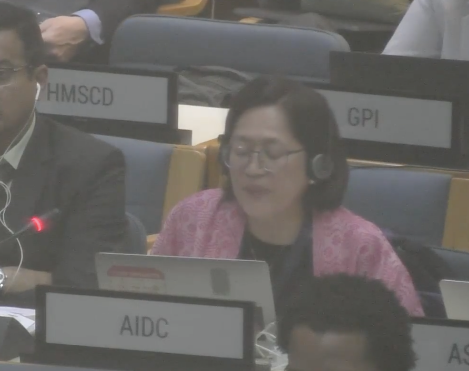 UN Tax Convention Interventions: Robust Convention