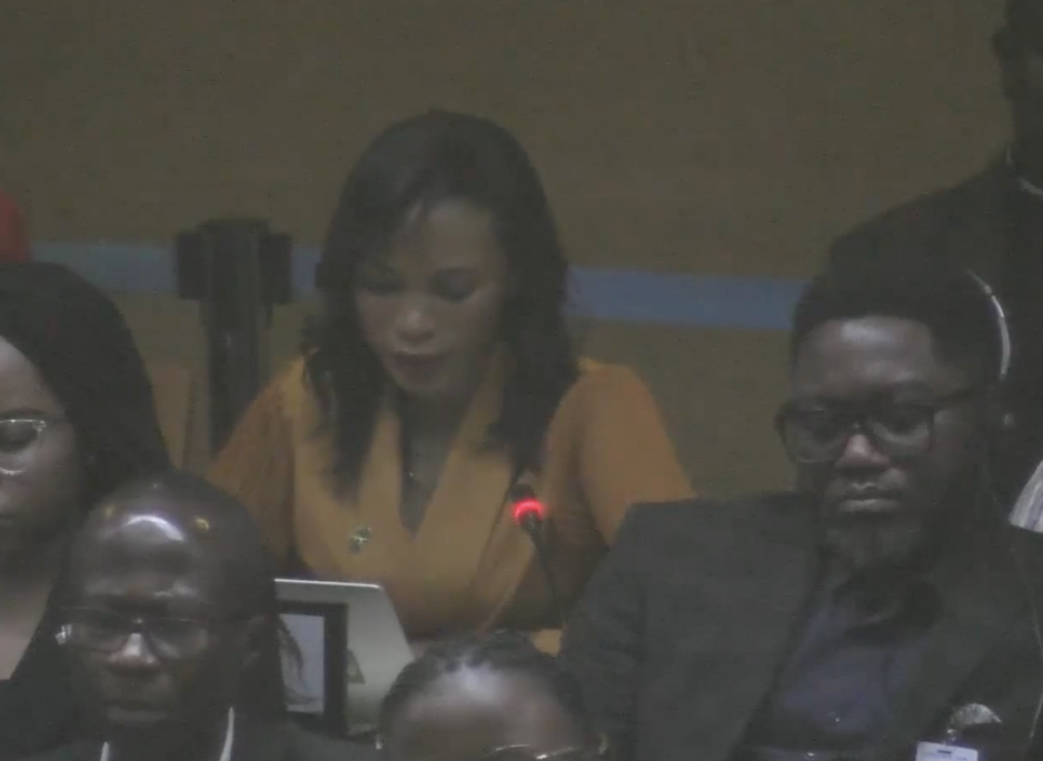 UN Tax Convention Interventions: Gender Justice