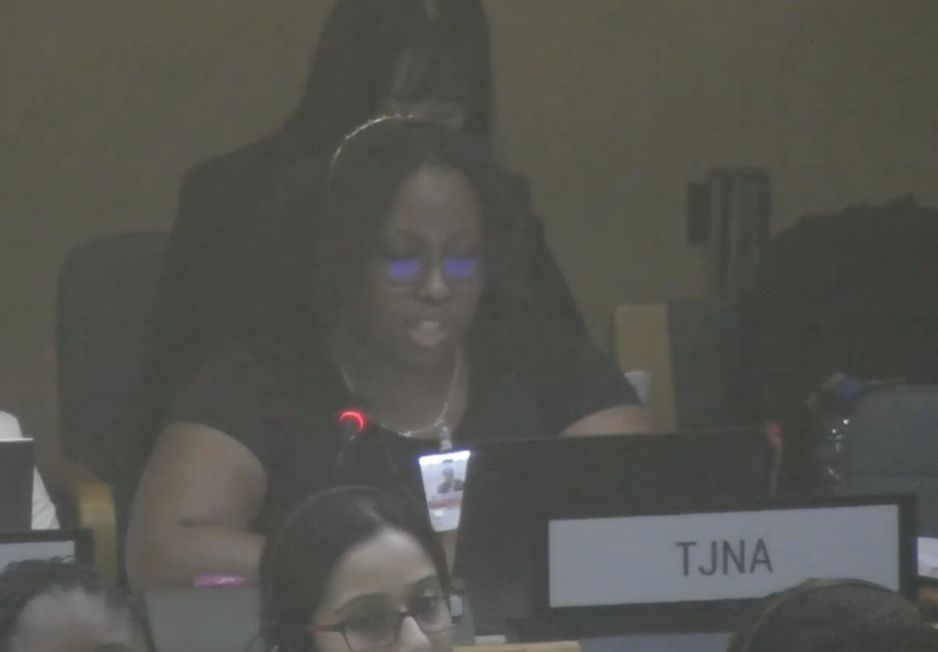 UN Tax Convention Interventions: Harmful Tax Practices
