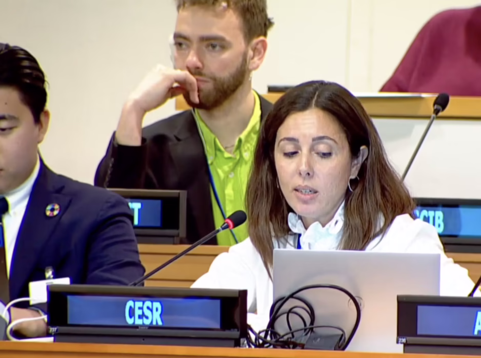 Article 4, UN Tax Convention Interventions: Tax and Sustainable Development