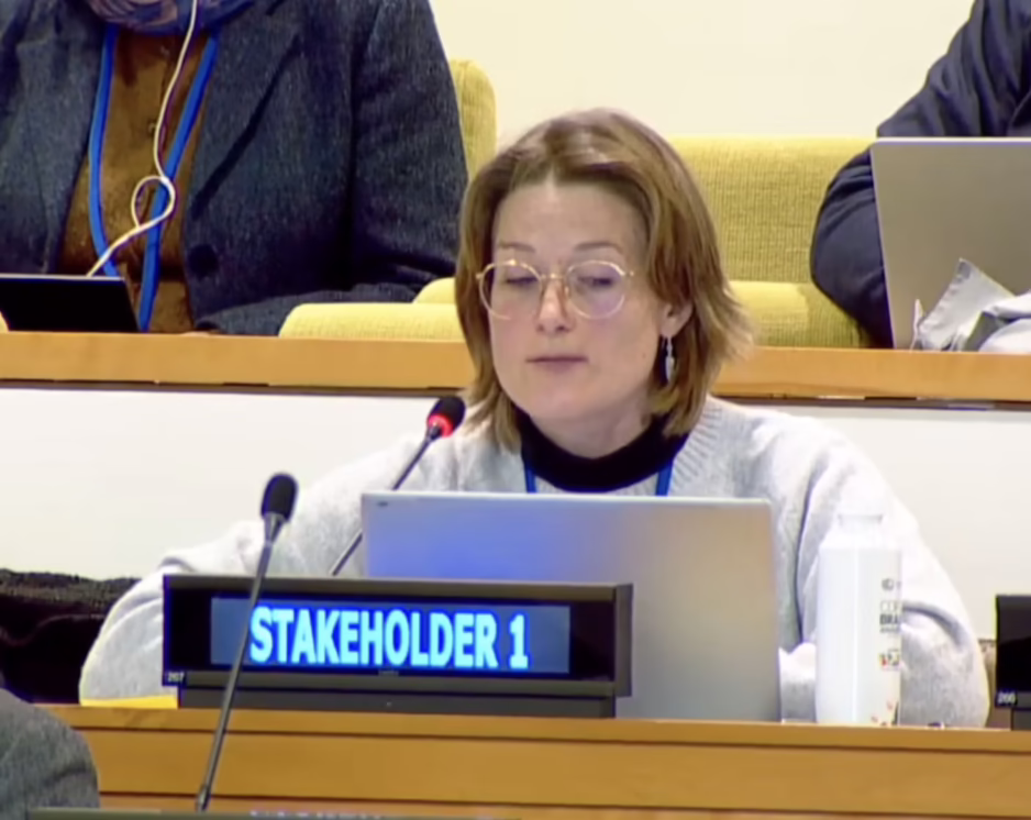 Article 4, UN Tax Convention Interventions: Environment