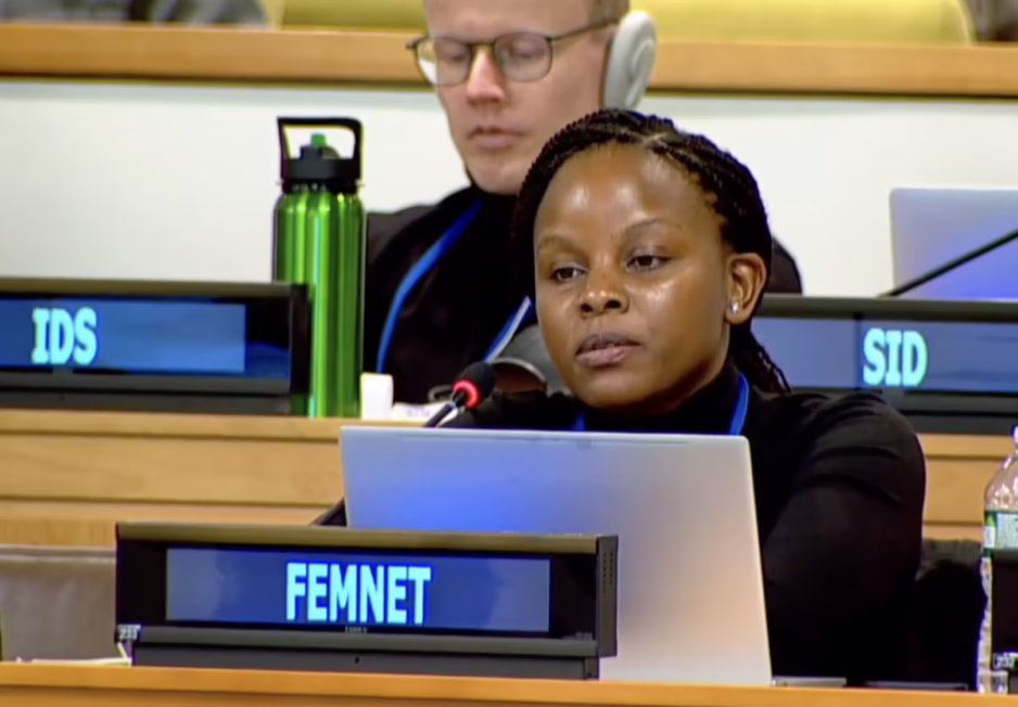 Article 4, UN Tax Convention Interventions: Gender Equality