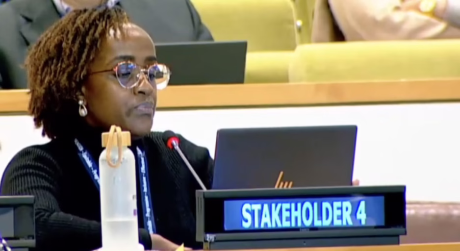 Article 7, UN Tax Convention Interventions: Public-Country-by-Country Reporting