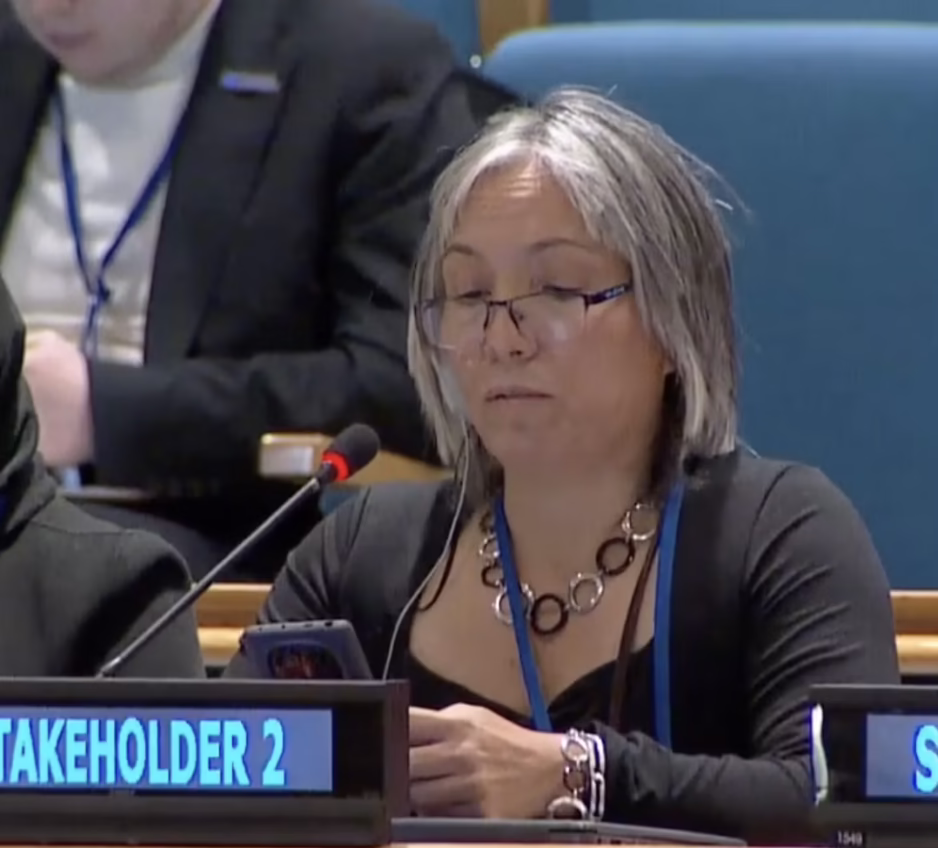 Article 7, UN Tax Convention Interventions: Illicit Financial Flows