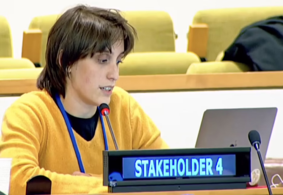 Protocol 1, UN Tax Convention Interventions: Public-Country-by-Country Reporting