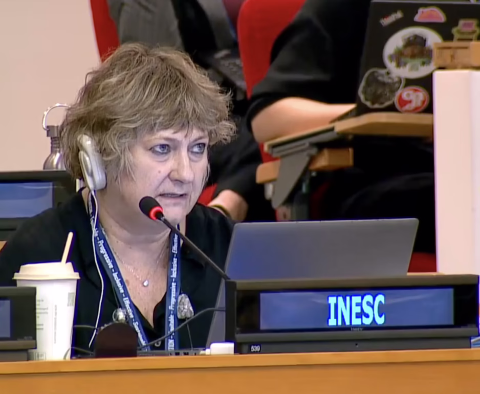 Protocol 1, UN Tax Convention Interventions: Scope