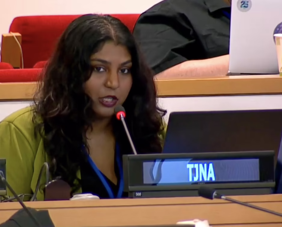 Article 10, UN Tax Convention Interventions: Conference of the Parties