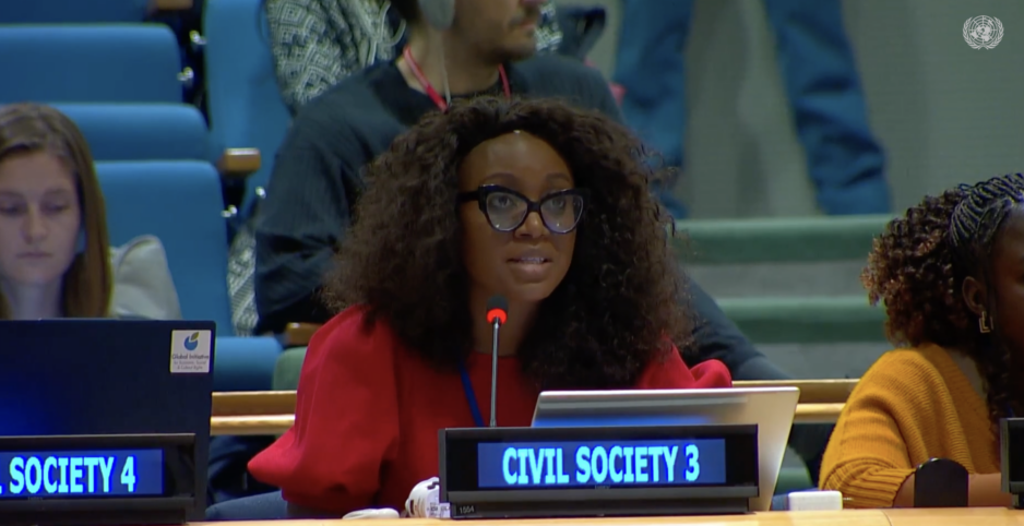 UN Tax Convention Interventions: Domestic Resource Mobilization