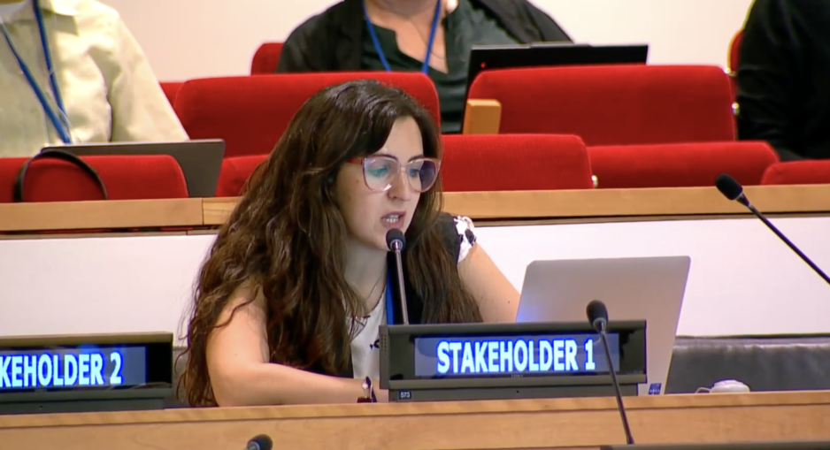 Article 14, UN Tax Convention Interventions: PCbCR