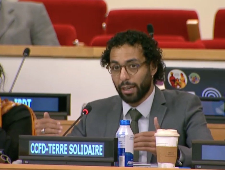 Protocol 1, UN Tax Convention Interventions: General