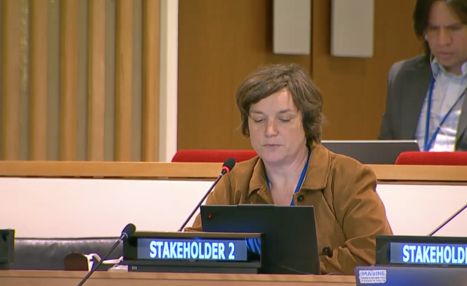Article 25, UN Tax Convention Interventions: Reservations