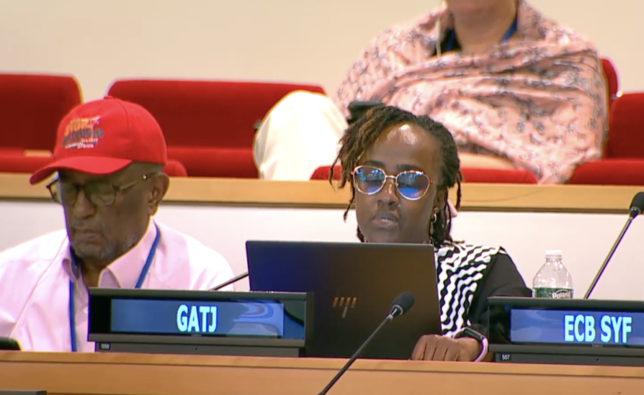 Protocol 2, UN Tax Convention Interventions: APAs