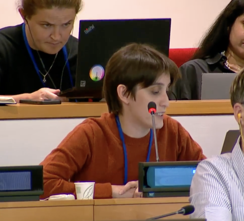 Protocol 1, UN Tax Convention Interventions: Unitary Taxation with Formulary Apportionment