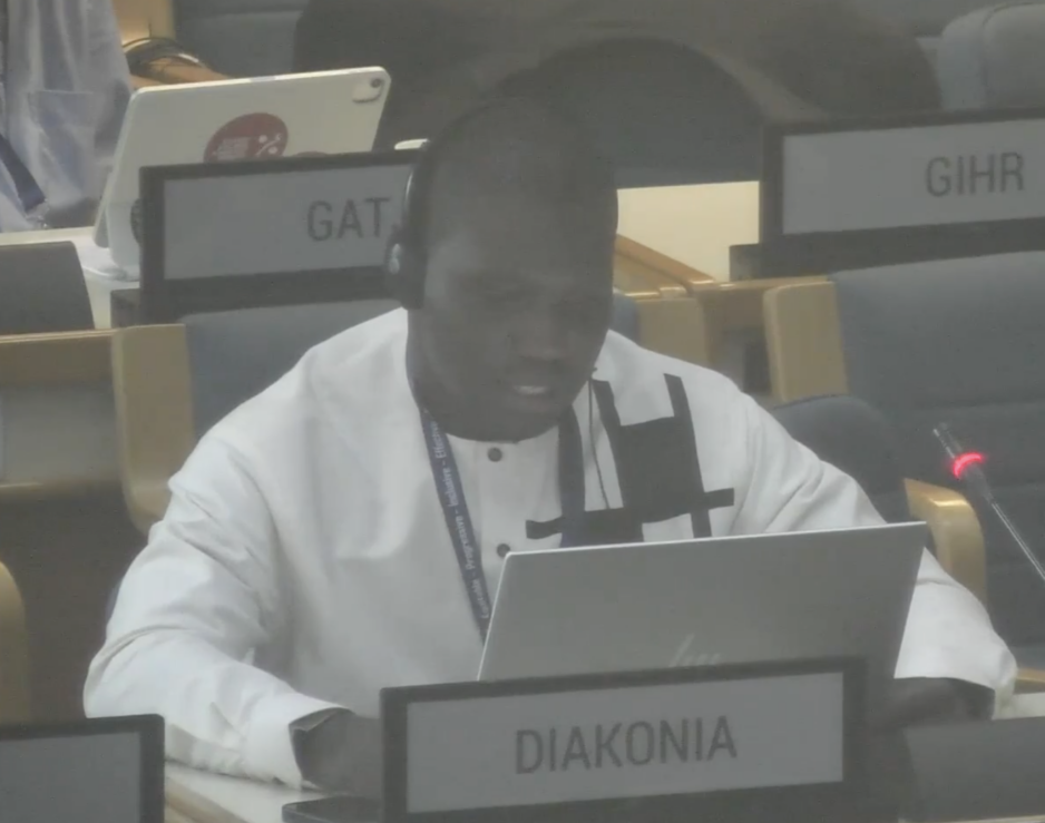 Protocol 2, UN Tax Convention Interventions: Optionality