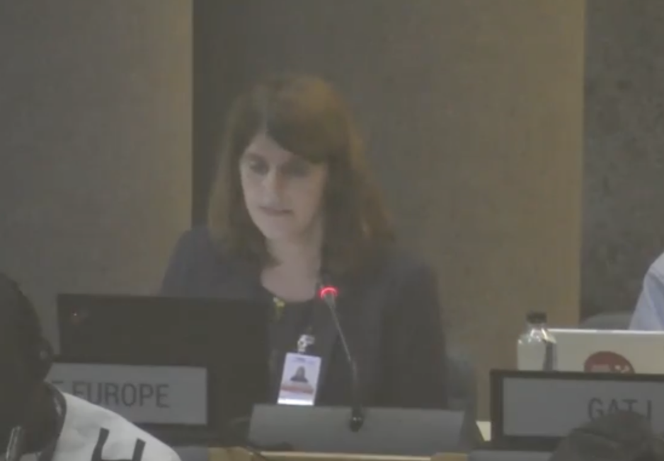 Protocol 2, UN Tax Convention Interventions: Scope